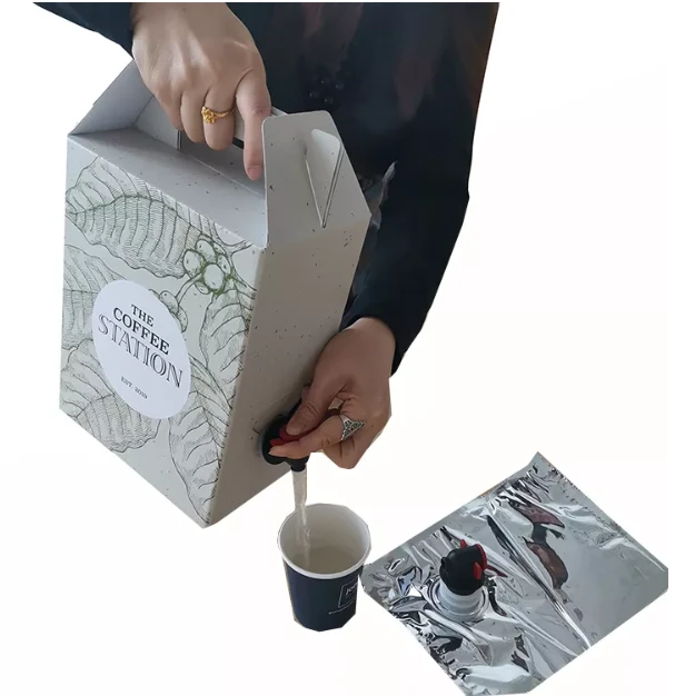 The Complete Guide to Aseptic Bags and Pouches