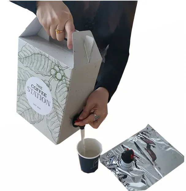 The Complete Guide to Aseptic Bags and Pouches