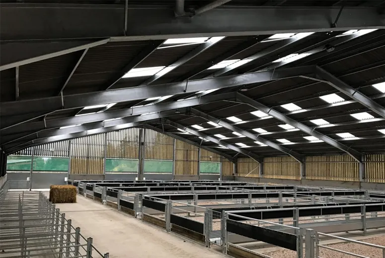 architectural steel buildings