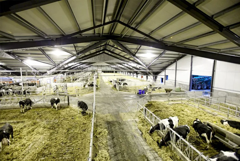 Affordable Metal Garages with Exciting Discounts for Your Storage Needs