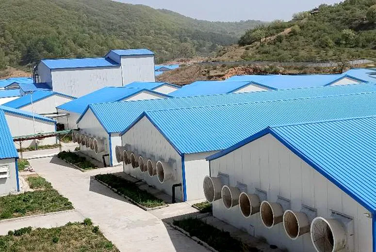 Eco-Friendly Metal Shed for Sustainable Storage Solutions and Garden Organization