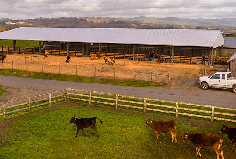 Benefits of Using Metal Hoop Structures for Modern Construction Projects Benefits of Using Metal Hoop Structures for Modern Construction Projects