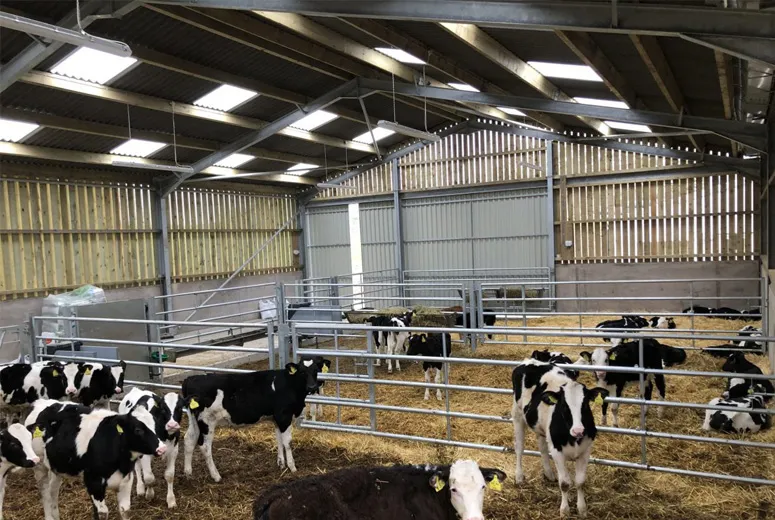 steel barns with living quarters