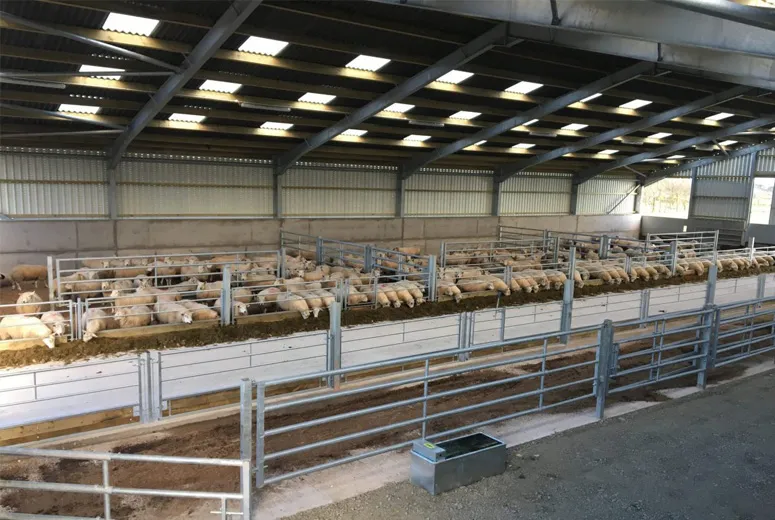 colt steel buildings colt steel buildings