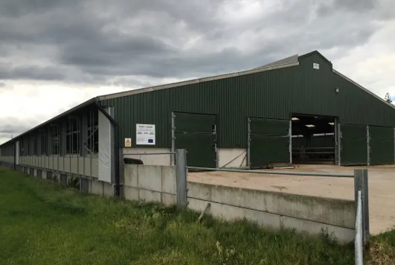 Design and Construction of Steel Structure Industrial Workshops for Enhanced Durability and Efficiency Design and Construction of Steel Structure Industrial Workshops for Enhanced Durability and Efficiency