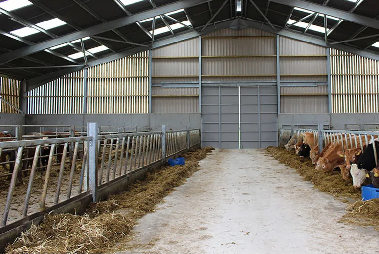 Steel Frame Construction for Modern Building Design and Structural Integrity