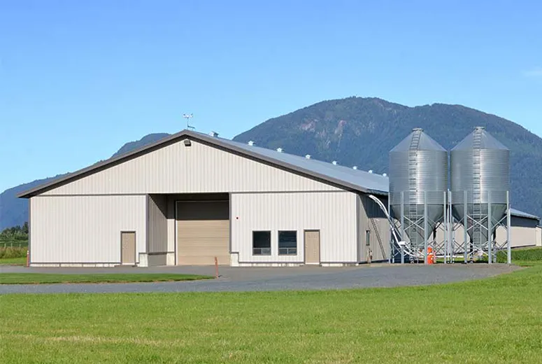 Steel Storage Warehouse