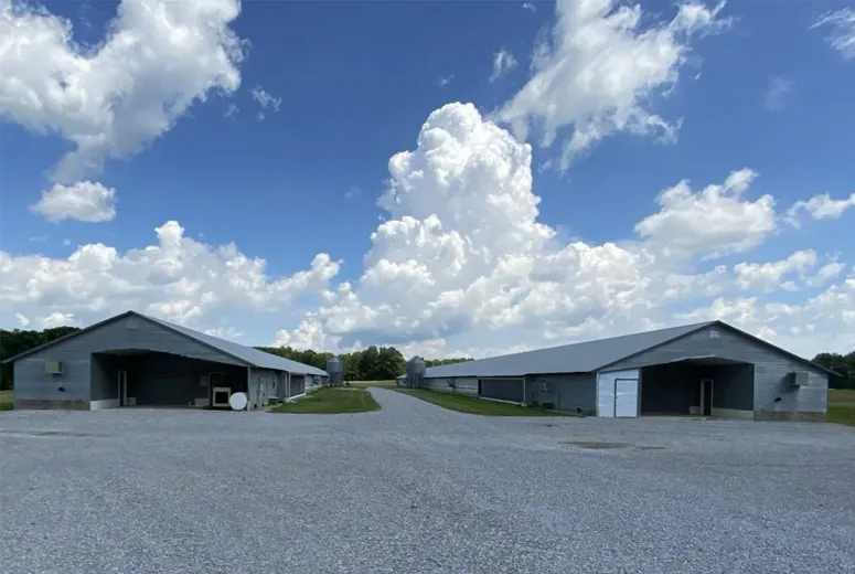 Steel Frame Houses Available for Purchase Ideal for Modern Living and Durability