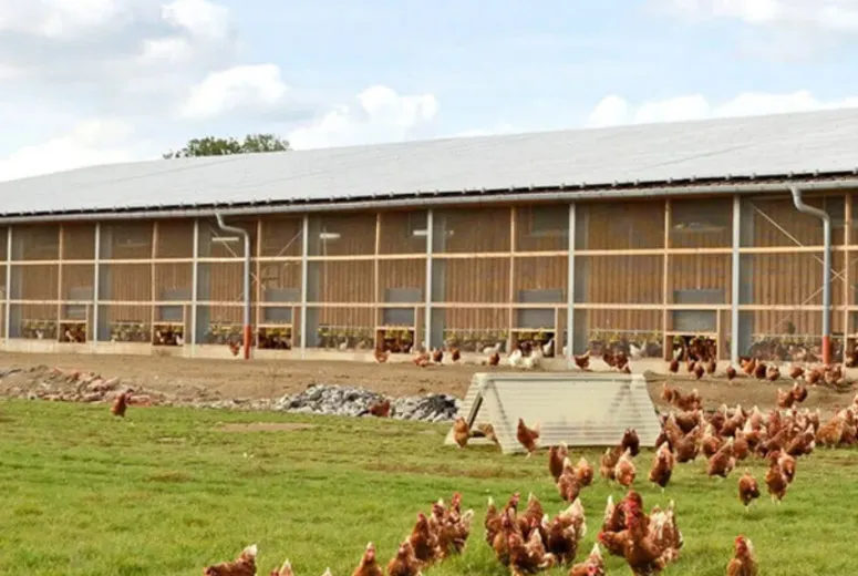 Metal Workshop and Office Space Design for Efficient Operations and Productivity