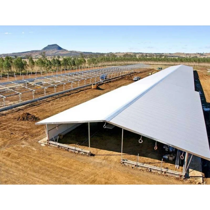 Innovative Steel Structures for Industrial Applications and Sustainable Development