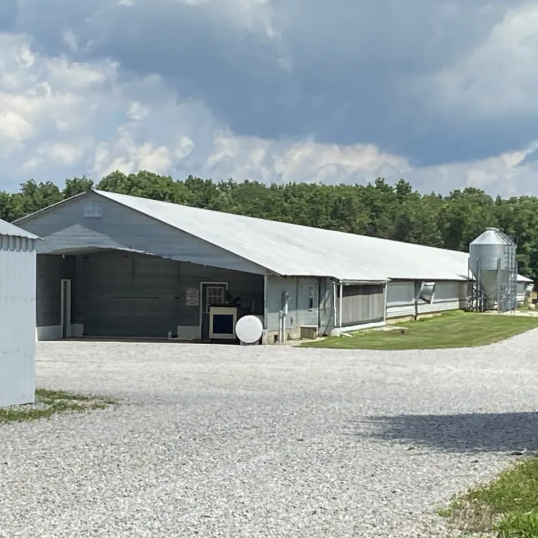 Steel Structure Factory Building
