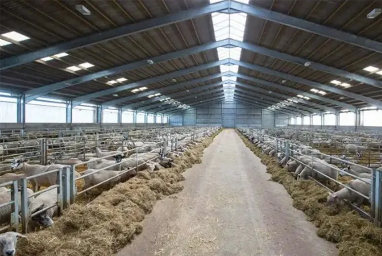 heavy duty metal carport