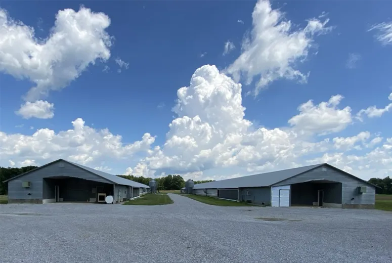 Steel Buildings Structure Chicken Agricultural Poultry House