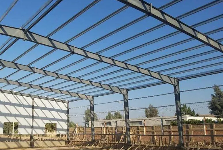 Steel Structure Poultry House - Tailored Solutions