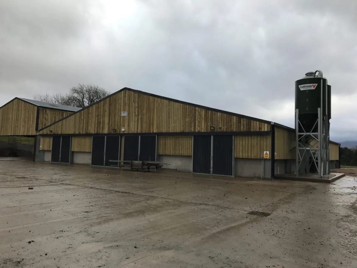 Read More About galvanised shed frame