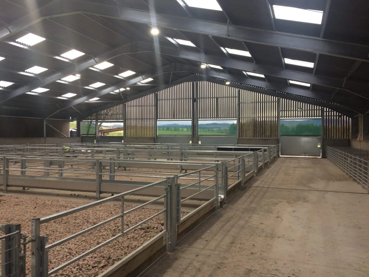 Designing a Steel Beam Garage for Maximum Durability and Functionality Designing a Steel Beam Garage for Maximum Durability and Functionality