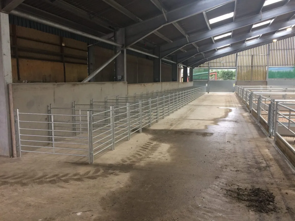 Durable Prefabricated Metal Canopies for Versatile Outdoor Spaces and Shelter Solutions Durable Prefabricated Metal Canopies for Versatile Outdoor Spaces and Shelter Solutions