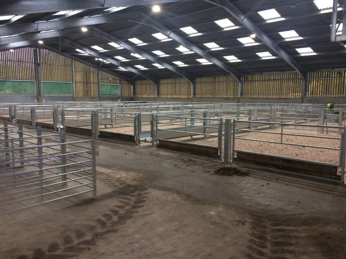 Read More About portal shed frame