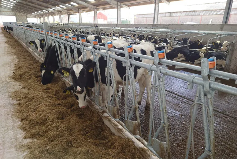 Read More About metal shops and barns