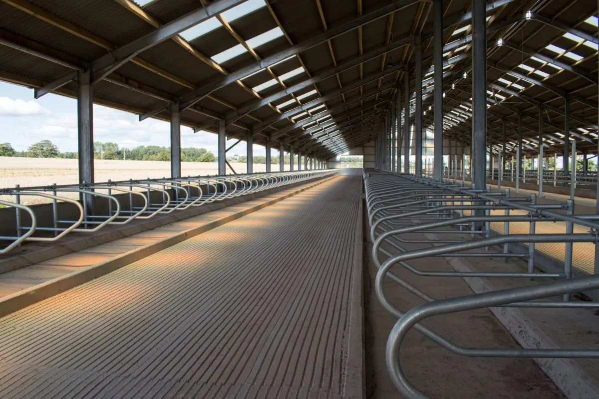 Durable Metal Structures for Modern Agricultural Needs and Efficient Farming Solutions