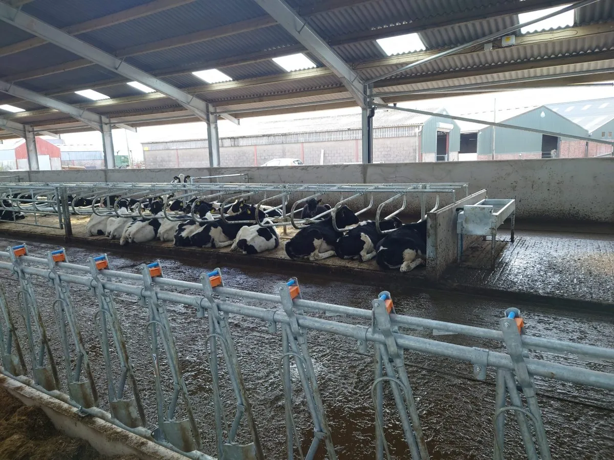 Innovative Airplane Hanger Designs for Modern Aviation Needs