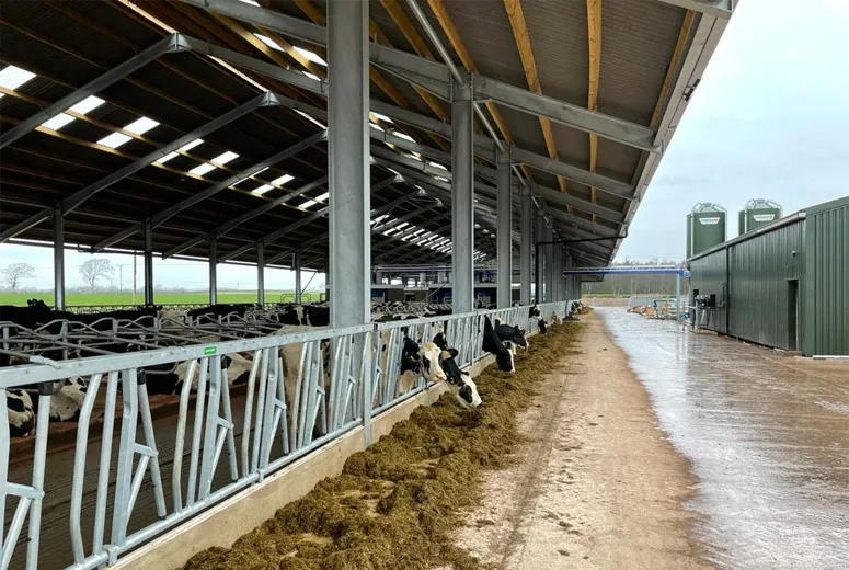 Read More About metal barn structures