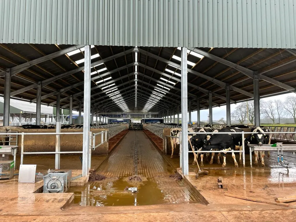 Affordable Pre-Designed Steel Homes for Modern Living and Comfortable Lifestyle