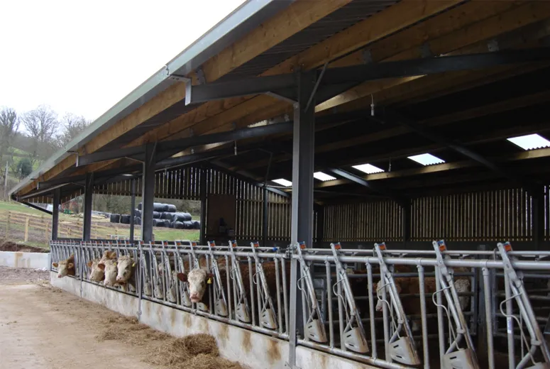 Gable Style Metal Structures for Versatile and Durable Construction Solutions