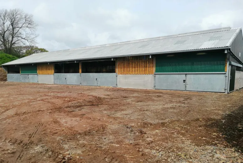 Exploring 25% Off on 50% Smaller Metal Building Designs for Your Next Project