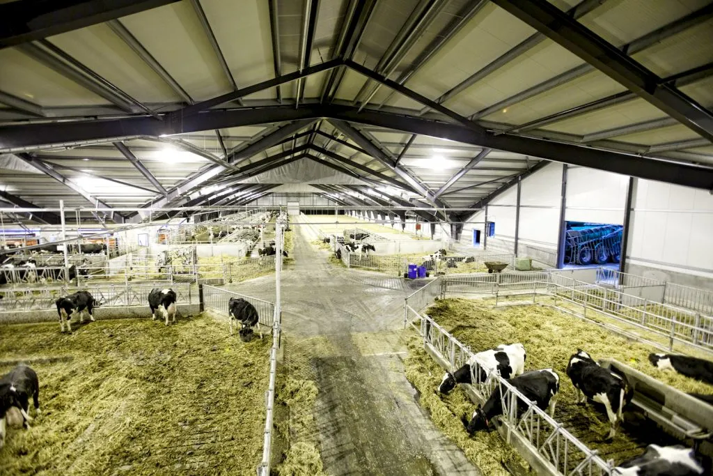 Farm Metal Buildings: The Backbone of Modern Agricultural Infrastructure