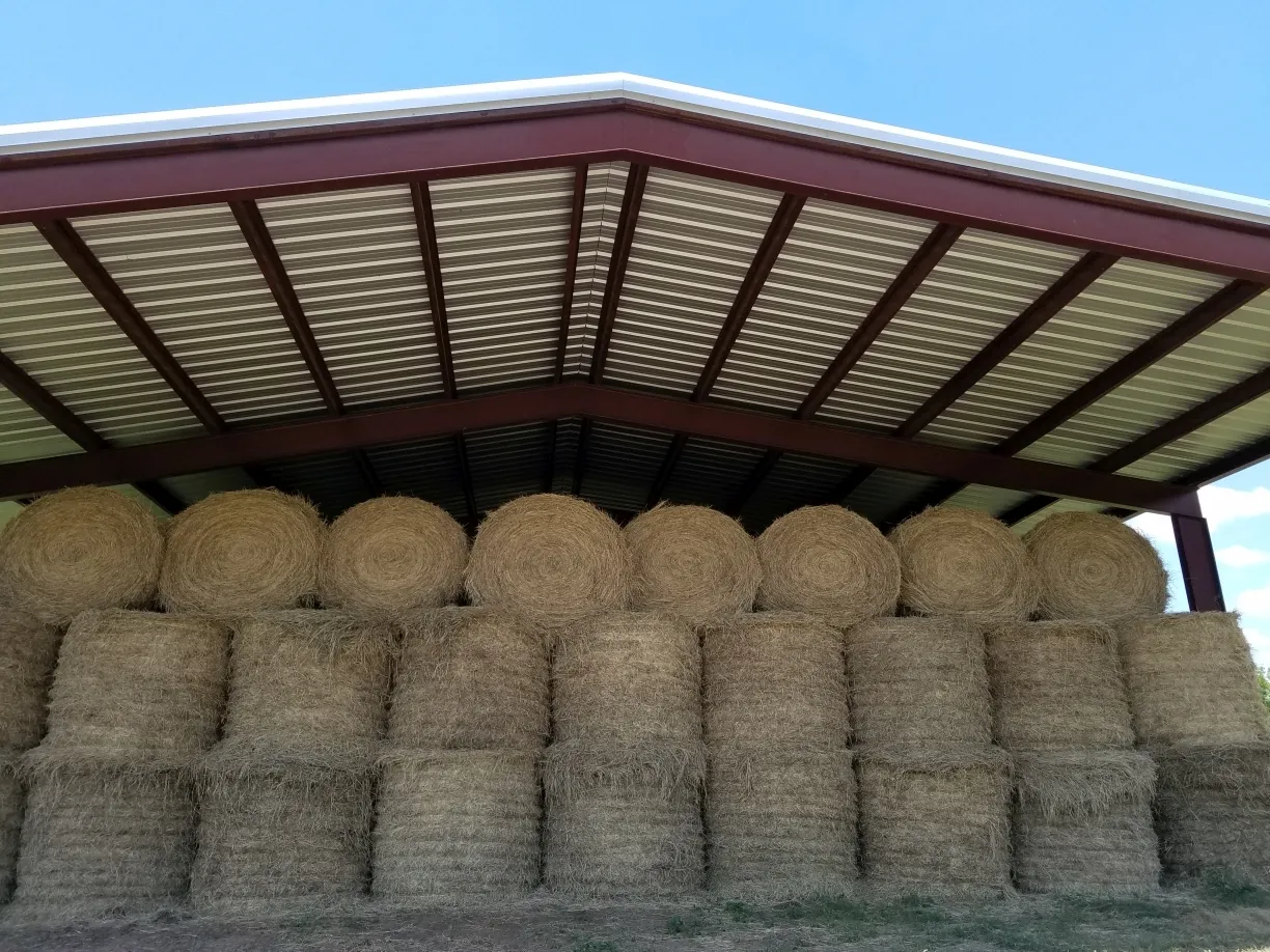 Global Trends in Steel Structure Export and Import: Shaping the Future of Construction