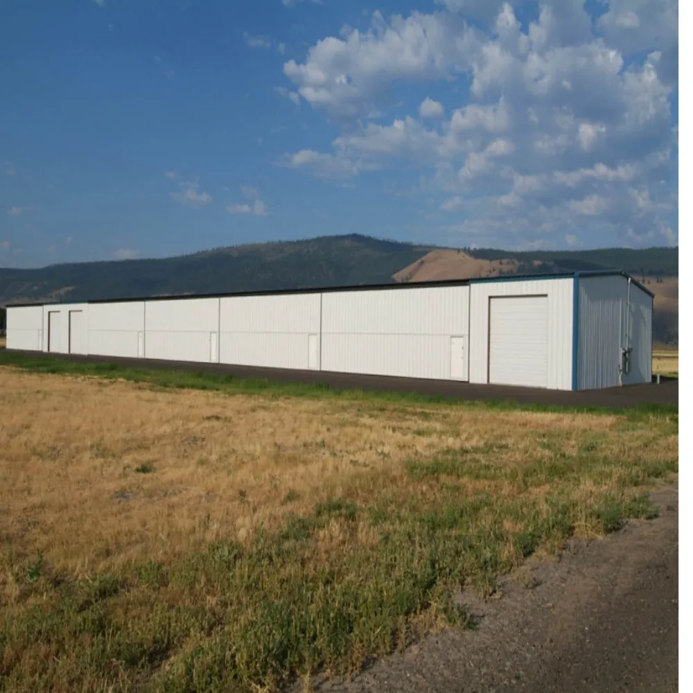 The Role Of Metal Handrails Residential In Residential Settings