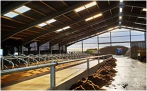 Exploring the Benefits of a 12 x 24 Metal Building for Your Next Project Exploring the Benefits of a 12 x 24 Metal Building for Your Next Project