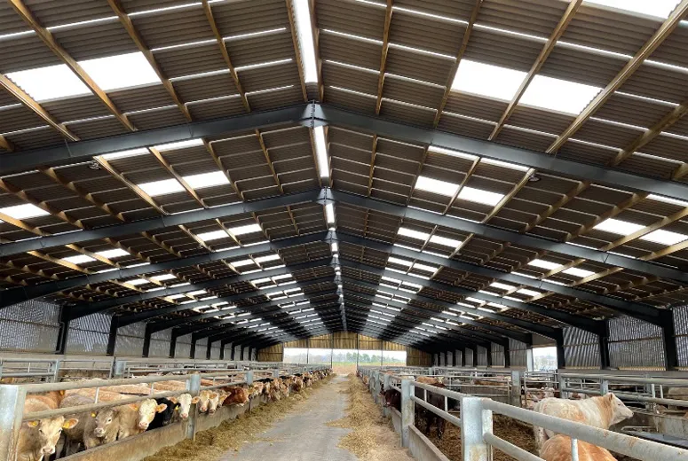 metal barn houses for sale