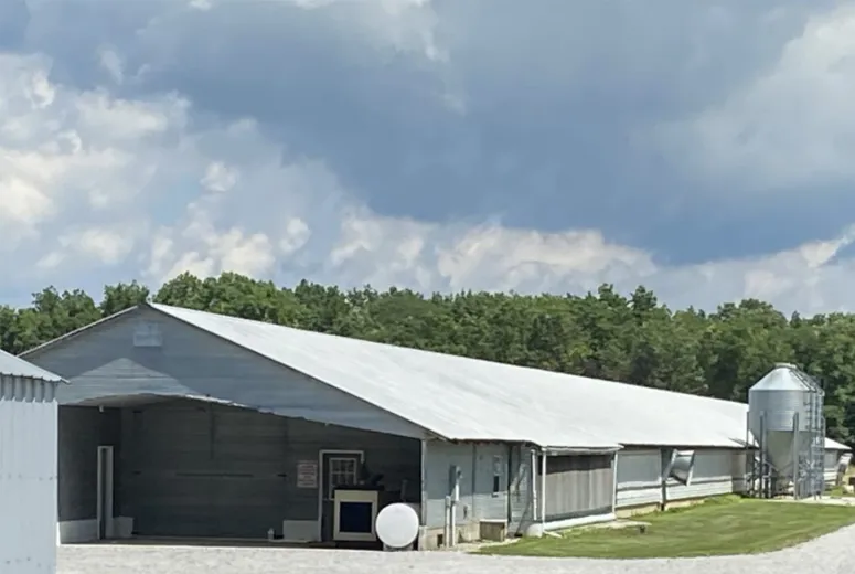 coral steel buildings