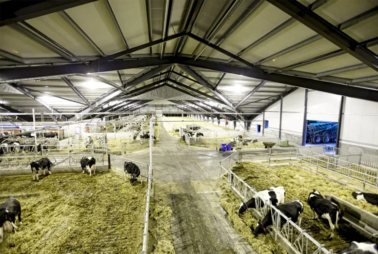 steel structure workshop steel structure workshop