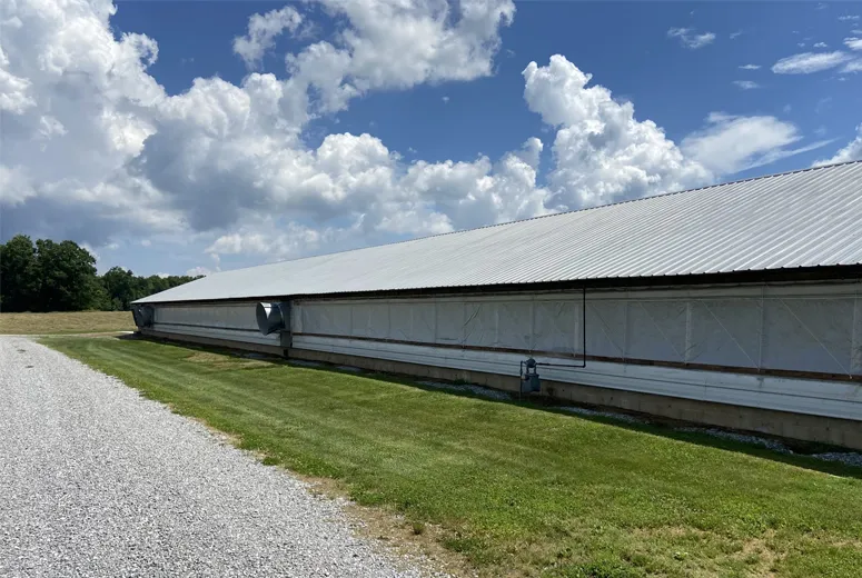 Metal Shed Structures Available for Purchase at Competitive Prices and Various Sizes