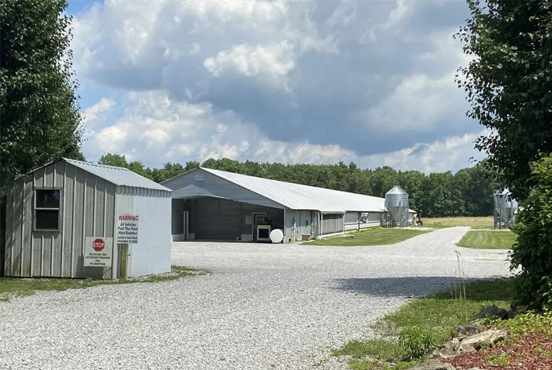 industrial shed frame