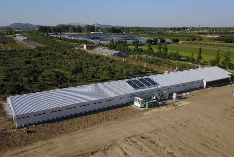 air plane hangers air plane hangers