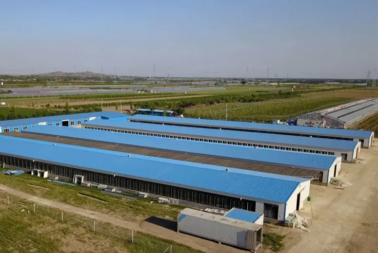 steel structure building factory