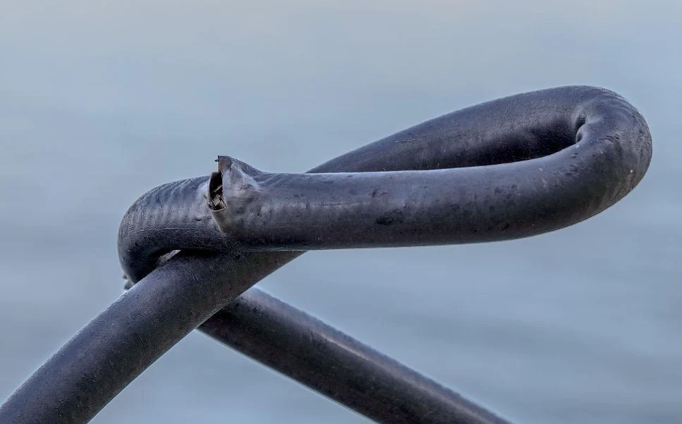 High Pressure Hydraulic Hose Failures: A Comprehensive Guide to Causes, Solutions, and Prevention