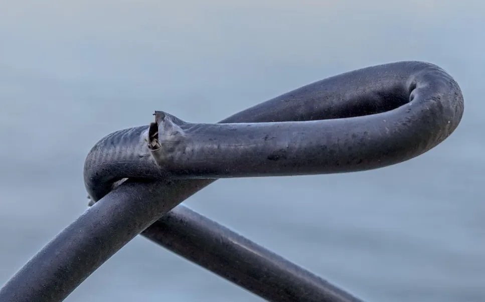 high pressure hydraulic hoses