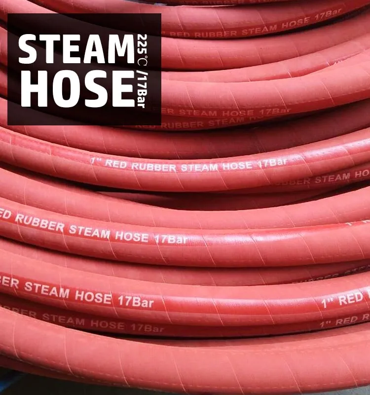 steam hose