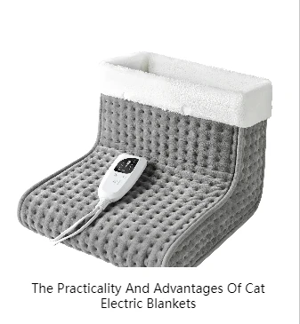 How to Choose the Suitable Electric Blanket for Your Pet: A Buyer's Guide
