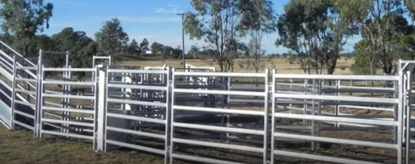 Comprehensive Guide to Livestock Fence Panels: Safety and Efficiency for Your Animals