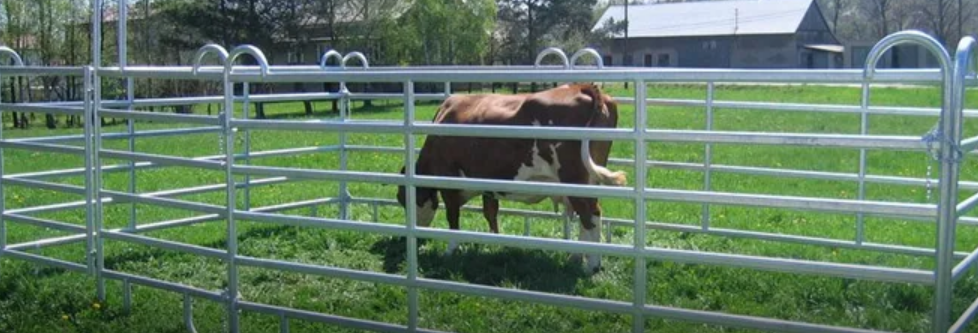 Comprehensive Guide to Livestock Fence Panels: Safety and Efficiency for Your Animals