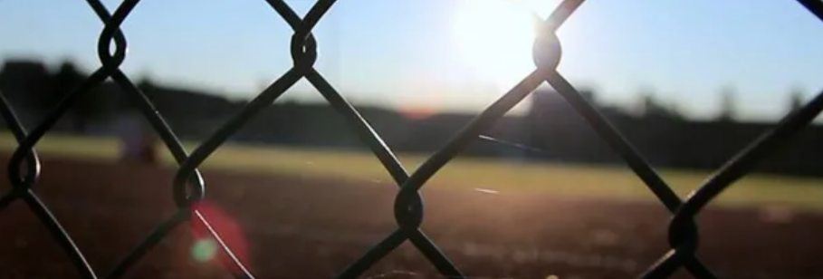Comprehensive Guide to Wire Mesh Solutions: Security, Durability, and Customization