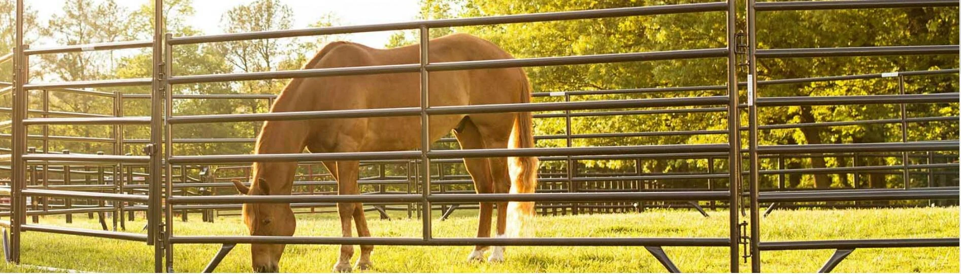 Read More About portable fence panels for sale