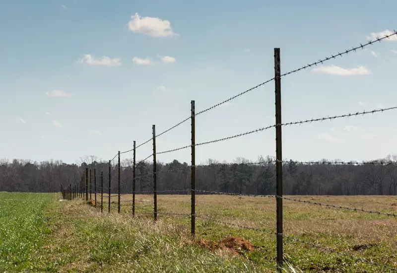 High-Tensile Airport Perimeter Systems: LPS 1175 & ICAO-Compliant Welded Mesh with Integrated Rheological Stability
