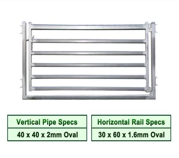 The Perfect Padel Court for Your Needs